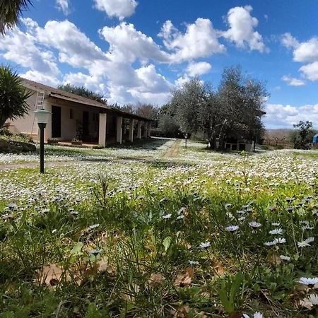 Agriturismo Bio Pian Dei Casali Saturnia Exterior foto