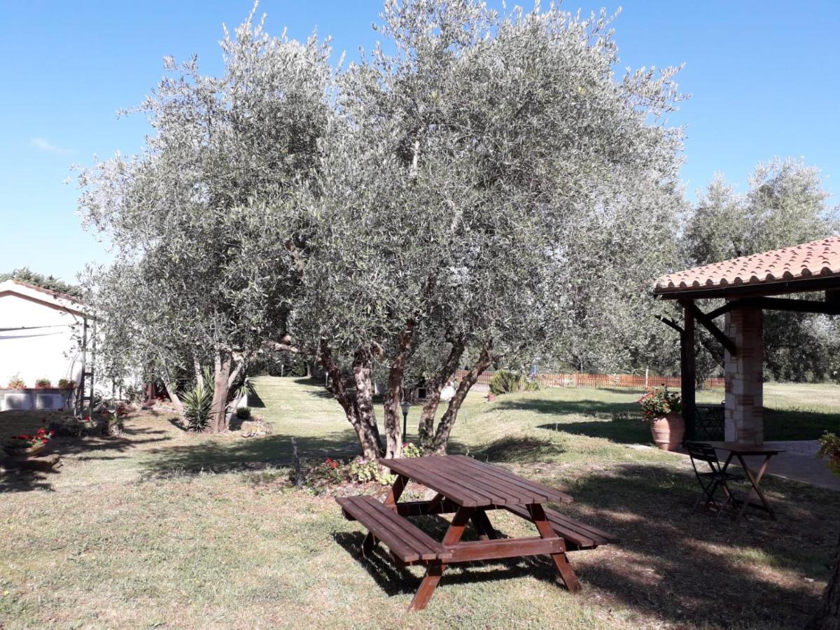 Agriturismo Bio Pian Dei Casali Saturnia Exterior foto