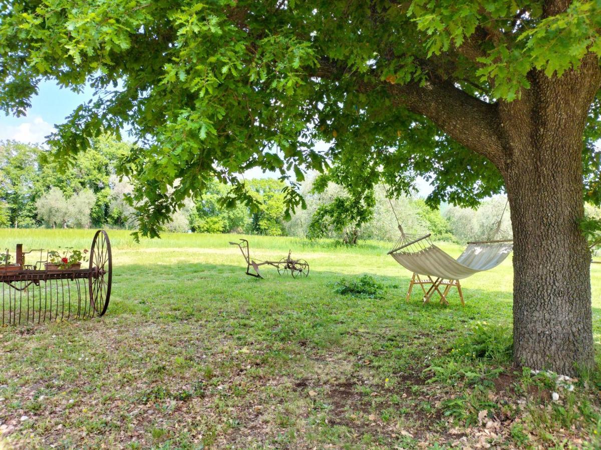 Agriturismo Bio Pian Dei Casali Saturnia Exterior foto