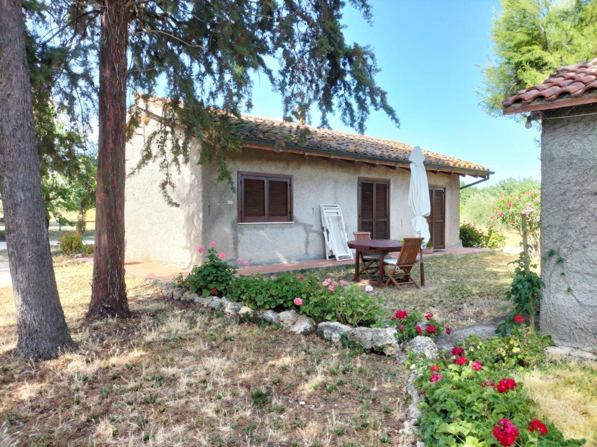 Agriturismo Bio Pian Dei Casali Saturnia Exterior foto