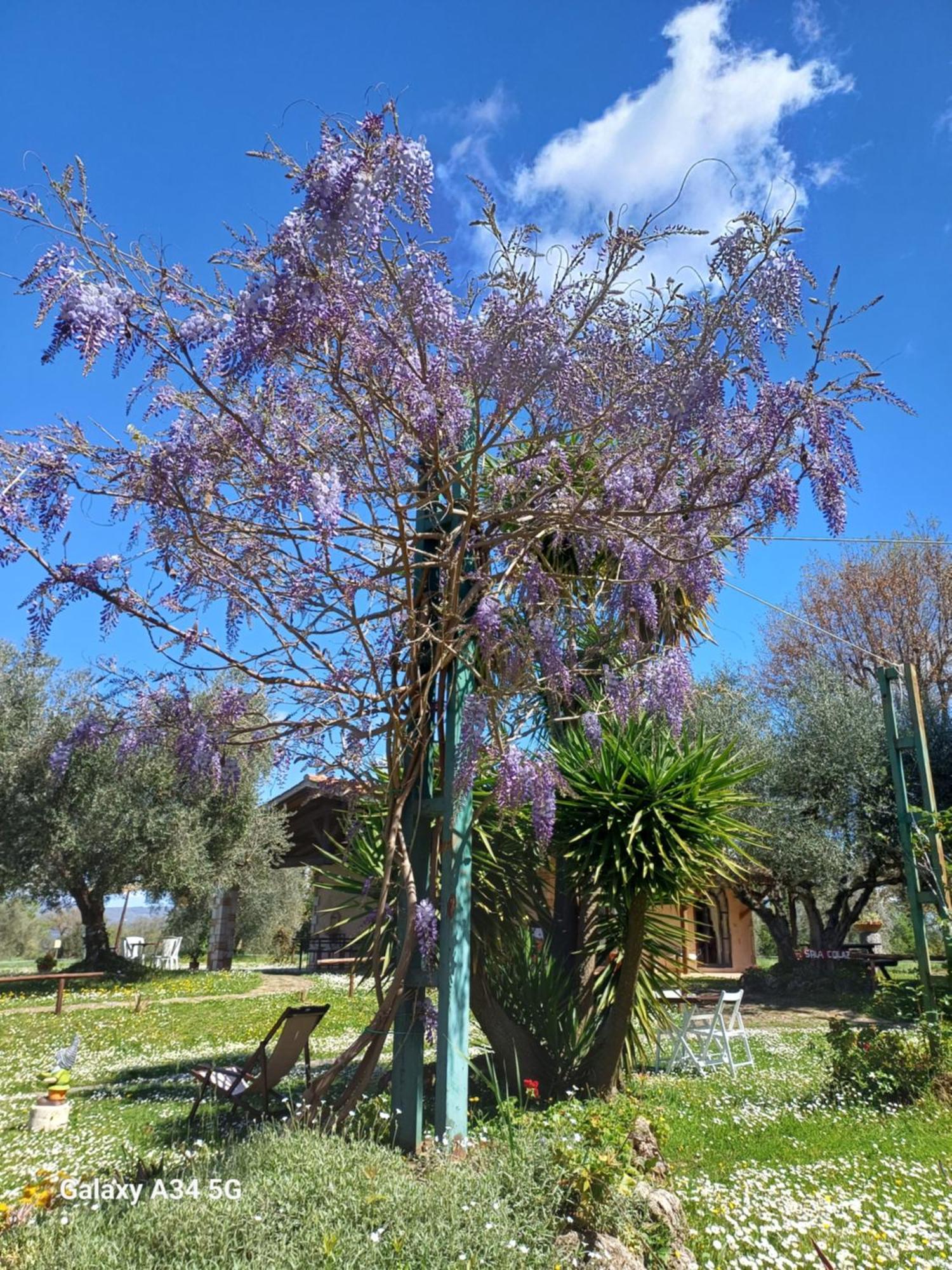 Agriturismo Bio Pian Dei Casali Saturnia Exterior foto