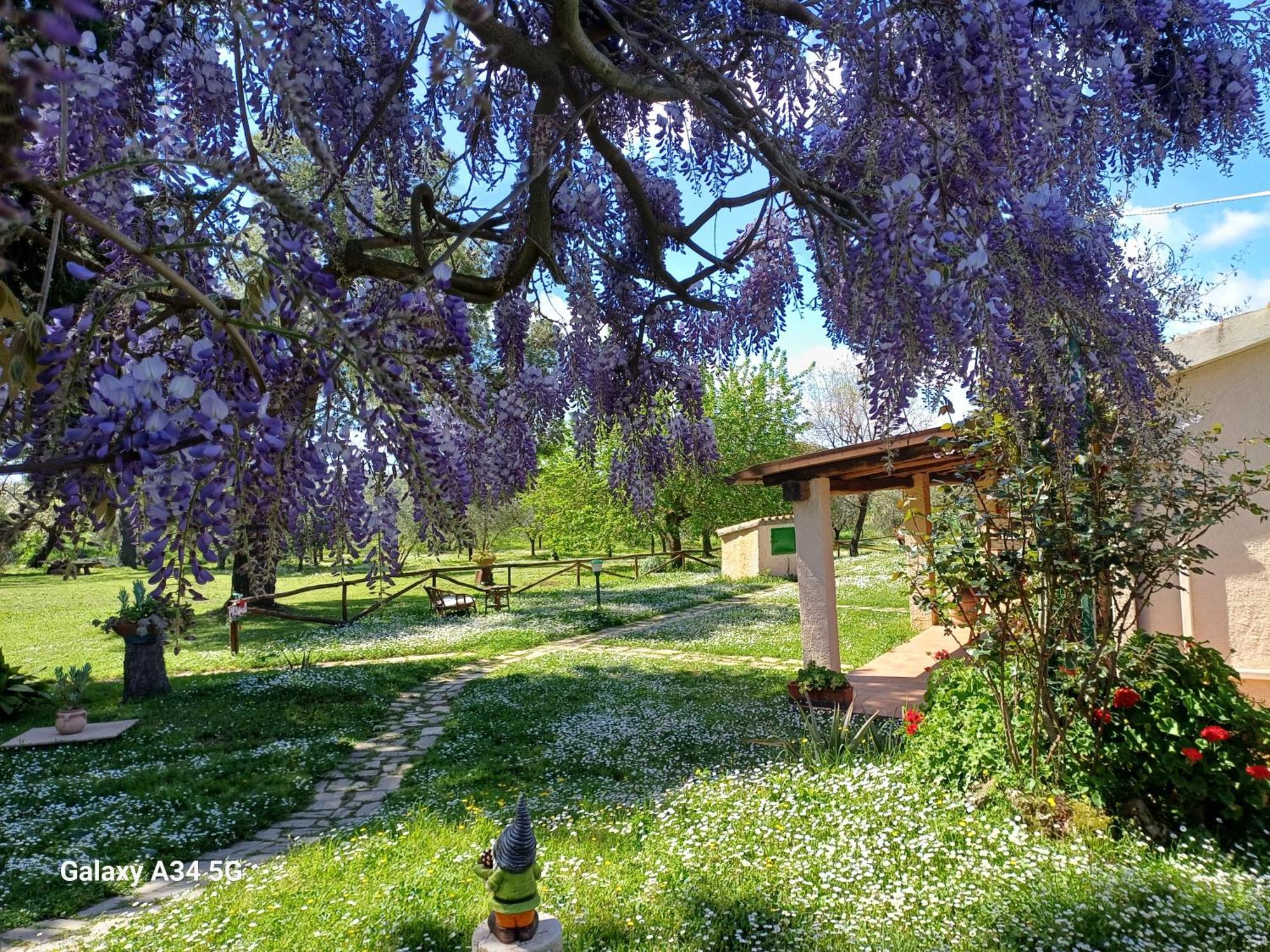 Agriturismo Bio Pian Dei Casali Saturnia Exterior foto
